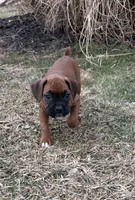 processed/607c4774-8710-420a-ab7d-6d0cafbe4036/listing/b5361244-a4ad-4451-a0c6-2196a33a0add/ed2b8eb2-9999-441b-94eb-8397110461de