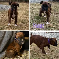 processed/607c4774-8710-420a-ab7d-6d0cafbe4036/listing/d8f24ff9-11f1-4289-9b3b-e9bf6817f6d8/3ead31c6-89b3-4eb8-bae3-d516e10cada4