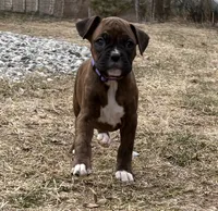 processed/607c4774-8710-420a-ab7d-6d0cafbe4036/listing/d8f24ff9-11f1-4289-9b3b-e9bf6817f6d8/41ecc0d7-634a-4b7b-904c-576adf456e4d