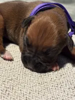 processed/607c4774-8710-420a-ab7d-6d0cafbe4036/listing/d8f24ff9-11f1-4289-9b3b-e9bf6817f6d8/4d7d9fbf-d738-4743-8e83-28f3fe353893