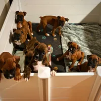 processed/607c4774-8710-420a-ab7d-6d0cafbe4036/listing/d8f24ff9-11f1-4289-9b3b-e9bf6817f6d8/9090da0d-235c-4641-a93d-b22a2f75c6eb