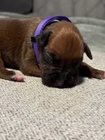 processed/607c4774-8710-420a-ab7d-6d0cafbe4036/listing/d8f24ff9-11f1-4289-9b3b-e9bf6817f6d8/b6e85f12-38a4-40ac-bd70-4182f83f8df1