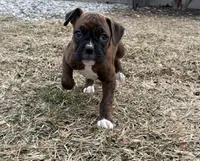 processed/607c4774-8710-420a-ab7d-6d0cafbe4036/listing/d8f24ff9-11f1-4289-9b3b-e9bf6817f6d8/be2a9087-dc45-4111-802b-4ae146a78fe1