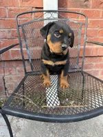 processed/608ae2f6-0947-4023-afa4-defdb6211db0/listing/0d7da2f9-a88e-480d-8103-44a1b8c4b320/07eca618-2890-4f2e-8492-d9461b73530c