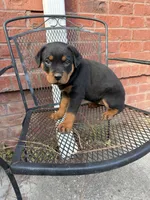 processed/608ae2f6-0947-4023-afa4-defdb6211db0/listing/0d7da2f9-a88e-480d-8103-44a1b8c4b320/56440f6a-40d8-4b22-926a-be942cb2f711