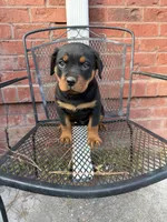 processed/608ae2f6-0947-4023-afa4-defdb6211db0/listing/0d7da2f9-a88e-480d-8103-44a1b8c4b320/8402ae14-76cf-4e7c-9312-2115dc5defc4