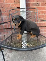 processed/608ae2f6-0947-4023-afa4-defdb6211db0/listing/0d7da2f9-a88e-480d-8103-44a1b8c4b320/b5319e0c-f50c-473f-bc7d-63d4c5d6e5c5