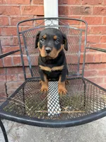 processed/608ae2f6-0947-4023-afa4-defdb6211db0/listing/0d7da2f9-a88e-480d-8103-44a1b8c4b320/ef7a9c81-ea2f-4198-afed-16652b12f638