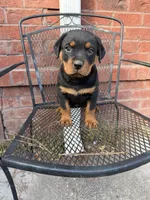 processed/608ae2f6-0947-4023-afa4-defdb6211db0/listing/0d7da2f9-a88e-480d-8103-44a1b8c4b320/fe879264-2cbb-451d-9a69-9040e0467953