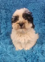 processed/608ae2f6-0947-4023-afa4-defdb6211db0/listing/358cb8b7-fa4f-4390-a7d5-e68cdc4f3c93/42b69953-08a7-468b-a406-6006d0500ecf