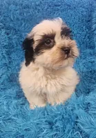 processed/608ae2f6-0947-4023-afa4-defdb6211db0/listing/358cb8b7-fa4f-4390-a7d5-e68cdc4f3c93/6a1dcb00-8cb5-4420-8316-f709b29b8a47