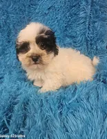 processed/608ae2f6-0947-4023-afa4-defdb6211db0/listing/358cb8b7-fa4f-4390-a7d5-e68cdc4f3c93/87554ecc-82e5-48aa-a2dd-a04553aacf4c