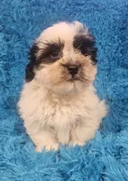 processed/608ae2f6-0947-4023-afa4-defdb6211db0/listing/358cb8b7-fa4f-4390-a7d5-e68cdc4f3c93/87d5814f-21e5-4522-94e4-1df037583b6d