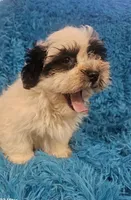 processed/608ae2f6-0947-4023-afa4-defdb6211db0/listing/358cb8b7-fa4f-4390-a7d5-e68cdc4f3c93/a26339b9-47d3-4eee-90a7-865bfd176a90