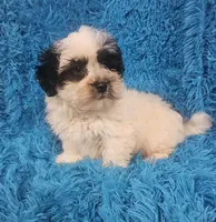 processed/608ae2f6-0947-4023-afa4-defdb6211db0/listing/358cb8b7-fa4f-4390-a7d5-e68cdc4f3c93/ab16333b-bddc-48d5-abe9-247a5ea68c4e