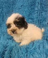 processed/608ae2f6-0947-4023-afa4-defdb6211db0/listing/358cb8b7-fa4f-4390-a7d5-e68cdc4f3c93/ac0e3368-12f1-43bc-9da5-9d581461d490