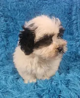 processed/608ae2f6-0947-4023-afa4-defdb6211db0/listing/358cb8b7-fa4f-4390-a7d5-e68cdc4f3c93/b9a33f60-0051-4060-ab41-efe40680b1cc