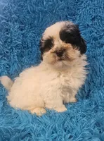 processed/608ae2f6-0947-4023-afa4-defdb6211db0/listing/358cb8b7-fa4f-4390-a7d5-e68cdc4f3c93/cdfcc5a9-ccd2-4160-a840-fc41a7a10913