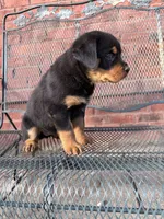 processed/608ae2f6-0947-4023-afa4-defdb6211db0/listing/40e5a624-7e45-4f10-9912-cd4661086fa0/3154465c-76d0-4e72-89ea-c59ca8d2e300