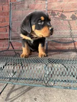 processed/608ae2f6-0947-4023-afa4-defdb6211db0/listing/40e5a624-7e45-4f10-9912-cd4661086fa0/4f763c8e-615a-4b05-acd6-21de474854f6