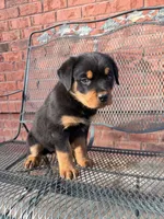 processed/608ae2f6-0947-4023-afa4-defdb6211db0/listing/40e5a624-7e45-4f10-9912-cd4661086fa0/73d14171-35be-42bf-a707-90dd13aad001