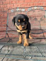 processed/608ae2f6-0947-4023-afa4-defdb6211db0/listing/40e5a624-7e45-4f10-9912-cd4661086fa0/8abbd57b-f54b-42ab-a3bf-d3e6b74e8a68