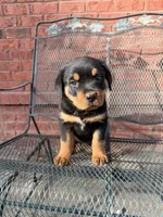 processed/608ae2f6-0947-4023-afa4-defdb6211db0/listing/40e5a624-7e45-4f10-9912-cd4661086fa0/ad72395f-f194-4856-b0f3-41ab6a08baef