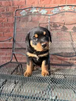 processed/608ae2f6-0947-4023-afa4-defdb6211db0/listing/40e5a624-7e45-4f10-9912-cd4661086fa0/b3ac3331-9281-467a-b925-9d4f1e66ff1c