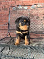 processed/608ae2f6-0947-4023-afa4-defdb6211db0/listing/40e5a624-7e45-4f10-9912-cd4661086fa0/ba6410b6-0562-404a-8dc2-e86a3043144a