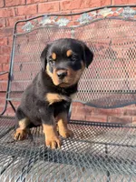 processed/608ae2f6-0947-4023-afa4-defdb6211db0/listing/40e5a624-7e45-4f10-9912-cd4661086fa0/d836f730-c300-4063-9ac7-9b3e1e3619ab