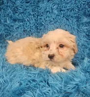 processed/608ae2f6-0947-4023-afa4-defdb6211db0/listing/607dca89-e002-47b1-9723-9a0ef4c08874/067cf41a-0340-48c8-a529-d457da0d37a0