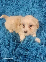 processed/608ae2f6-0947-4023-afa4-defdb6211db0/listing/607dca89-e002-47b1-9723-9a0ef4c08874/3776ff57-f0a2-4351-ae49-3ba73b326eef