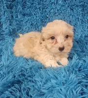 processed/608ae2f6-0947-4023-afa4-defdb6211db0/listing/607dca89-e002-47b1-9723-9a0ef4c08874/5c85cabc-26cb-454b-9981-e92fbf2ff58f