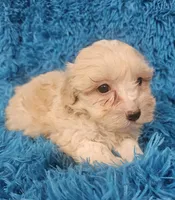 processed/608ae2f6-0947-4023-afa4-defdb6211db0/listing/607dca89-e002-47b1-9723-9a0ef4c08874/7491a27d-16c1-4813-b12a-e5c61b0d6bda