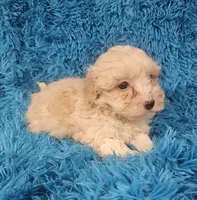 processed/608ae2f6-0947-4023-afa4-defdb6211db0/listing/607dca89-e002-47b1-9723-9a0ef4c08874/a75893f4-f54c-42ab-8ca5-d020b7ab5edb