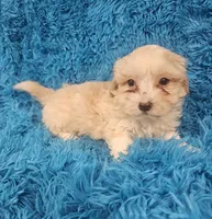 processed/608ae2f6-0947-4023-afa4-defdb6211db0/listing/607dca89-e002-47b1-9723-9a0ef4c08874/bd27b720-0a1e-47d1-84e1-dbba35ca86df