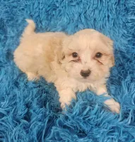 processed/608ae2f6-0947-4023-afa4-defdb6211db0/listing/607dca89-e002-47b1-9723-9a0ef4c08874/ef1a7fdd-13c2-4c5e-830f-e048255f7502