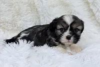 processed/608ae2f6-0947-4023-afa4-defdb6211db0/listing/7b9bee15-2334-4f38-aed4-17d523a0625e/5336fdd0-89ca-4c08-9219-a7dc697b3aef