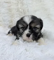 processed/608ae2f6-0947-4023-afa4-defdb6211db0/listing/7b9bee15-2334-4f38-aed4-17d523a0625e/d0bad0d5-3054-42bf-bbb6-971c813c5dec