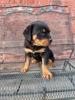 processed/608ae2f6-0947-4023-afa4-defdb6211db0/listing/8c05f0ab-ae5a-4228-858c-13e18ea94c09/0123569e-e07c-4b0d-9be1-879a6bffc9fe