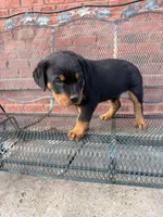 processed/608ae2f6-0947-4023-afa4-defdb6211db0/listing/8c05f0ab-ae5a-4228-858c-13e18ea94c09/02323134-ebbd-43d4-b920-6068c0f7c072