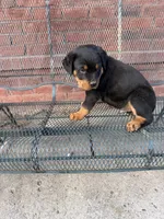 processed/608ae2f6-0947-4023-afa4-defdb6211db0/listing/8c05f0ab-ae5a-4228-858c-13e18ea94c09/079108ef-0bf2-4dc3-9c7d-83695a903f38