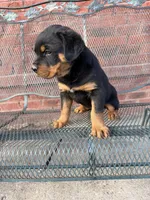 processed/608ae2f6-0947-4023-afa4-defdb6211db0/listing/8c05f0ab-ae5a-4228-858c-13e18ea94c09/40175055-aa5c-47a3-abb5-ab248723cffc