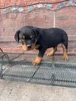 processed/608ae2f6-0947-4023-afa4-defdb6211db0/listing/8c05f0ab-ae5a-4228-858c-13e18ea94c09/52993d93-2944-4b8a-9b9f-42f9addc288e