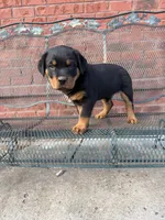 processed/608ae2f6-0947-4023-afa4-defdb6211db0/listing/8c05f0ab-ae5a-4228-858c-13e18ea94c09/7137f557-4341-4b96-aa46-872ee67840c5