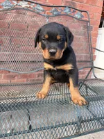 processed/608ae2f6-0947-4023-afa4-defdb6211db0/listing/8c05f0ab-ae5a-4228-858c-13e18ea94c09/81c79384-00a2-44c7-baaf-7682eb1dafd8