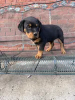 processed/608ae2f6-0947-4023-afa4-defdb6211db0/listing/8c05f0ab-ae5a-4228-858c-13e18ea94c09/ee52b8b1-d29c-47c3-a5b1-b8e84c627305