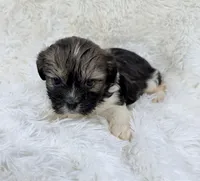 processed/608ae2f6-0947-4023-afa4-defdb6211db0/listing/cfdba21a-9ef7-4eef-a99b-128568dda5a4/291993d5-6b5a-4539-8337-2eb282d578b3