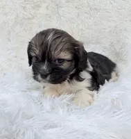 processed/608ae2f6-0947-4023-afa4-defdb6211db0/listing/cfdba21a-9ef7-4eef-a99b-128568dda5a4/4a9c40c0-2a1e-4605-840d-e5b15b5d11d6