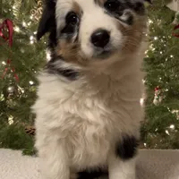 processed/60a45347-7a33-4fff-9ad8-59bd0b112557/facility/c516791a-cc18-4696-a73c-d01f3ec9a9f7